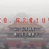 十二生肖动物图